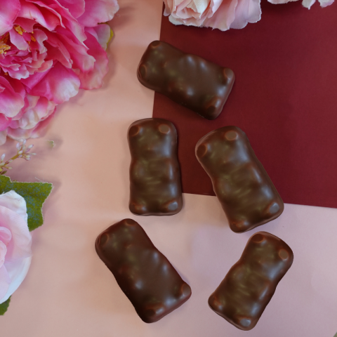 Oursons Guimauve Chocolat Lait x5