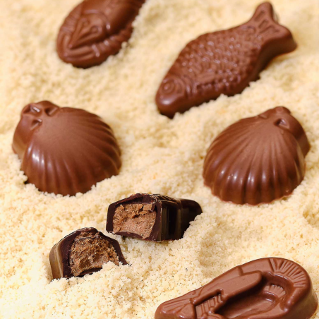 Fritures Fourrées Praliné Lait